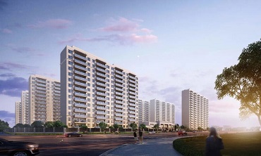 陽(yáng)光春曉：歸家之旅，生活的詩(shī)意新篇